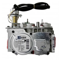 G-VSMNG - VALVE DE GAZ, NG